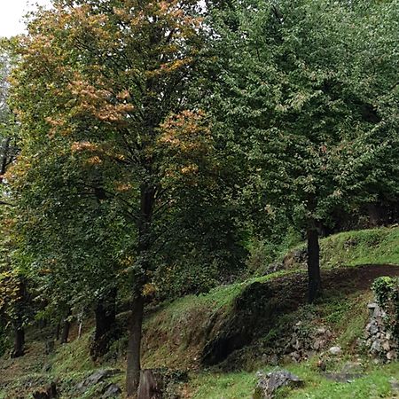 Villa Pura Vida Saint-Martin-Vésubie Zewnętrze zdjęcie
