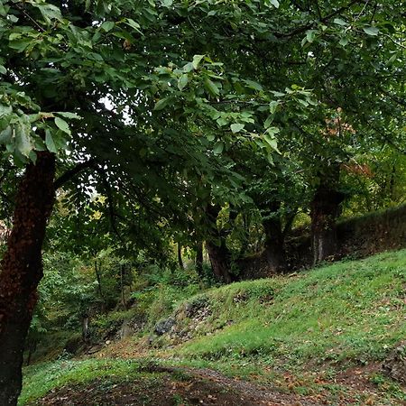 Villa Pura Vida Saint-Martin-Vésubie Zewnętrze zdjęcie