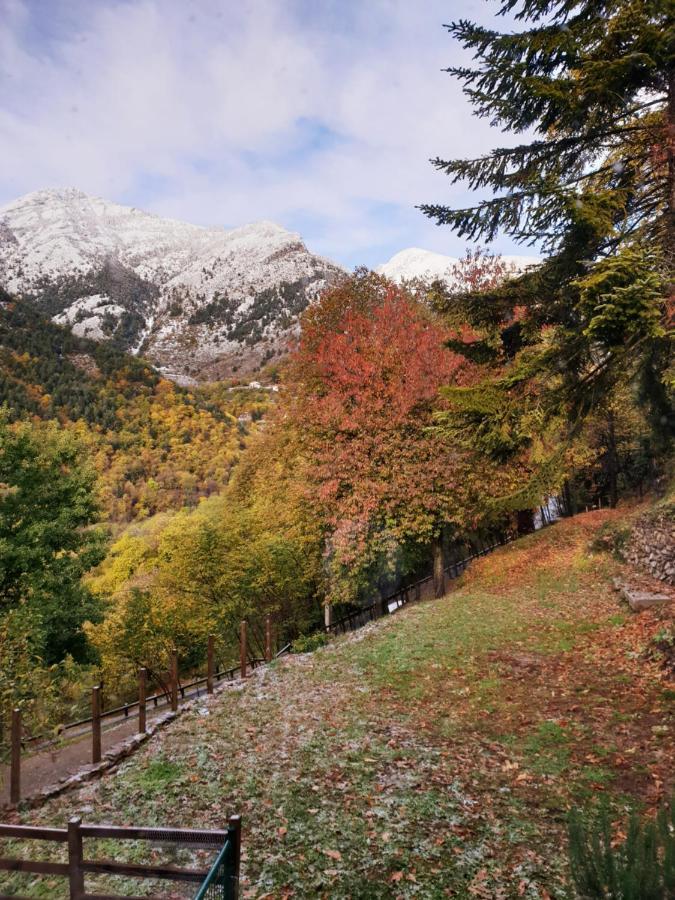 Villa Pura Vida Saint-Martin-Vésubie Zewnętrze zdjęcie