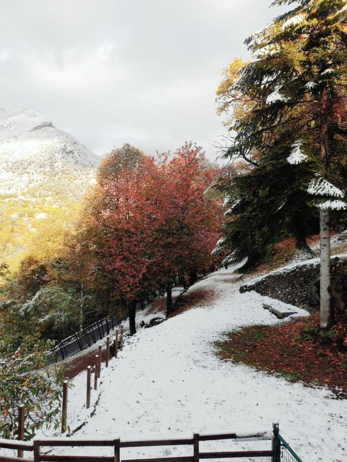 Villa Pura Vida Saint-Martin-Vésubie Zewnętrze zdjęcie