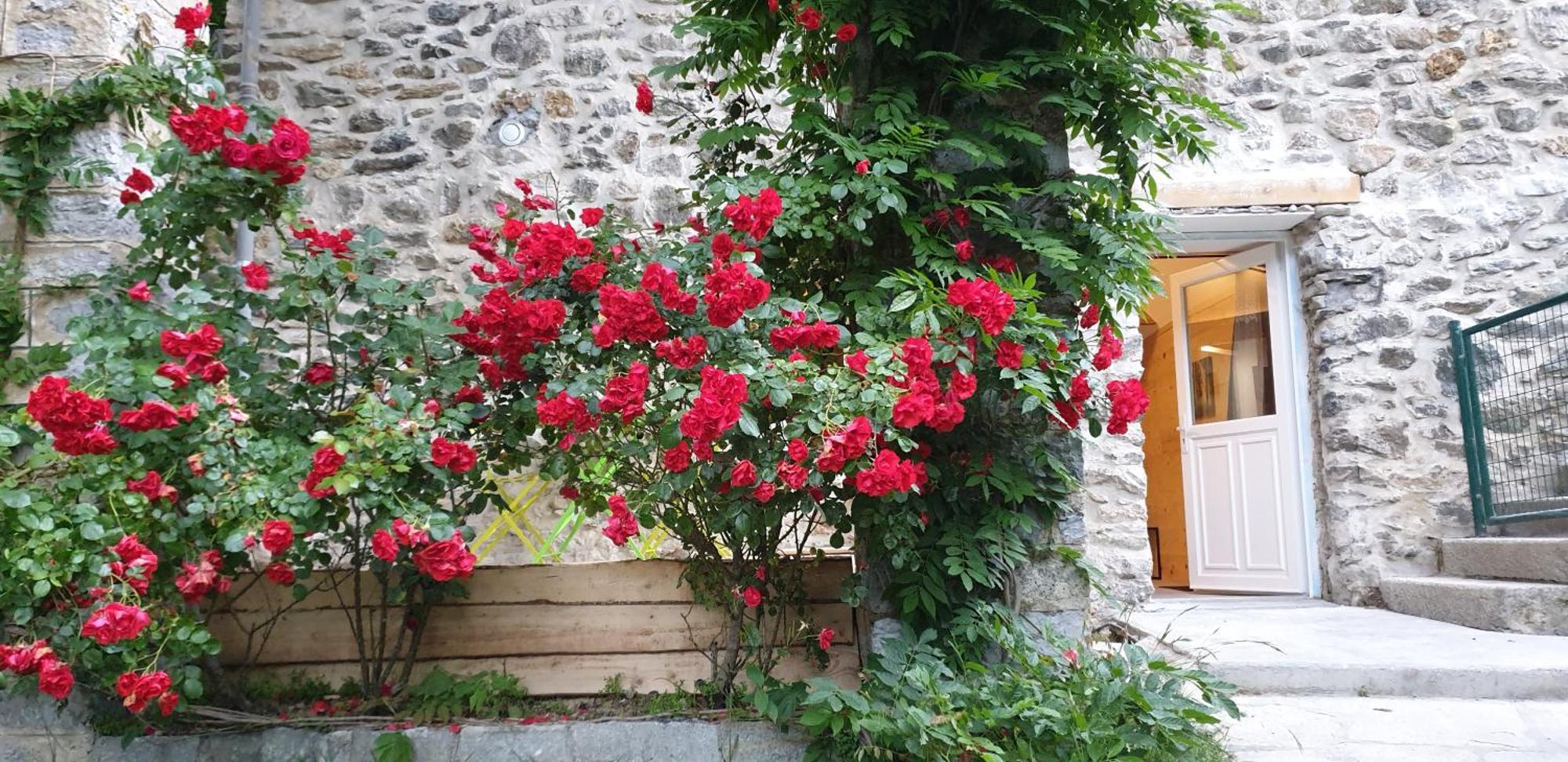 Villa Pura Vida Saint-Martin-Vésubie Pokój zdjęcie