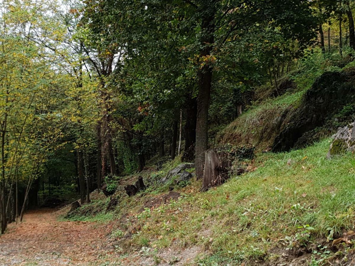 Villa Pura Vida Saint-Martin-Vésubie Zewnętrze zdjęcie