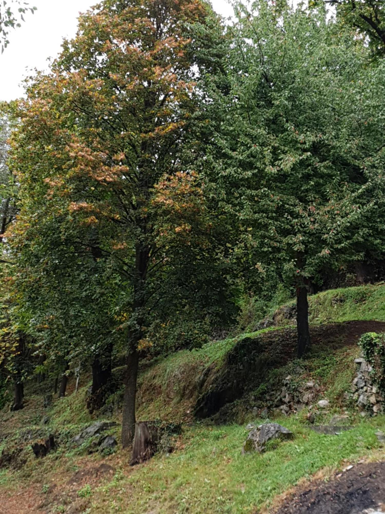 Villa Pura Vida Saint-Martin-Vésubie Zewnętrze zdjęcie