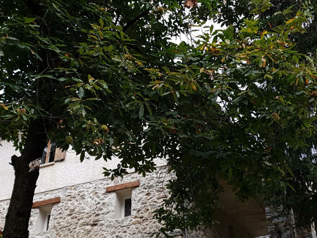 Villa Pura Vida Saint-Martin-Vésubie Zewnętrze zdjęcie
